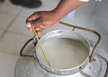 Milk prices