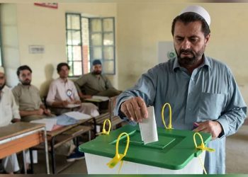 KP Local Elections