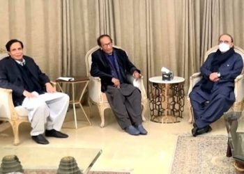 PML-Q to continue its support for PTI; decides not to join opposition’s movements