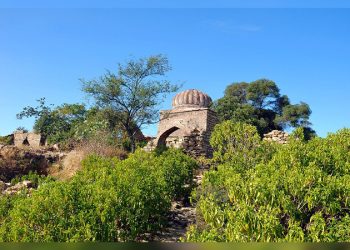 Forest Department grants national park status to Tilla Jogian