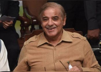Shehbaz floats idea of national govt without PTI