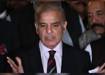 PM Shehbaz to form National Economic Advisory Council to overcome financial woes