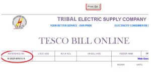 How to Check TESCO Bill Online