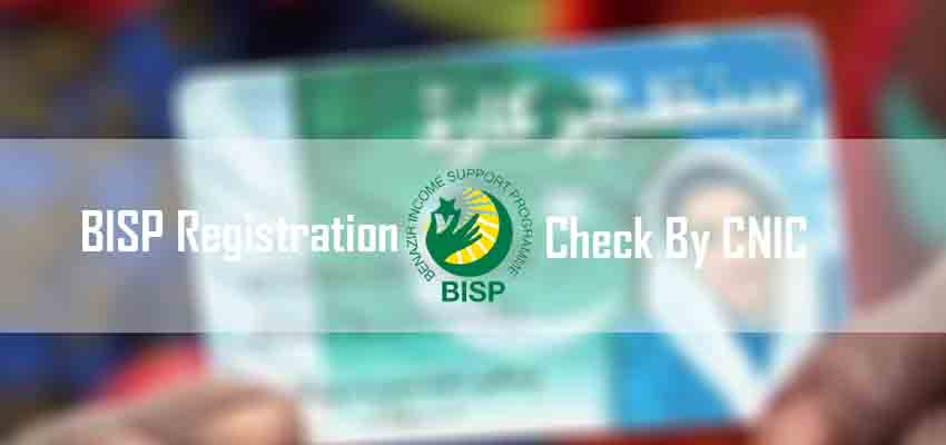 How to check benazir income support program