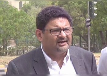 PML-N rejects possibility of removing fuel and energy subsidies