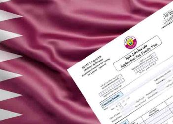 How do you check your Visa Qatar Online Status-