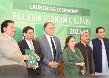 ‘Cannot provide relief to middle-class in upcoming budget’