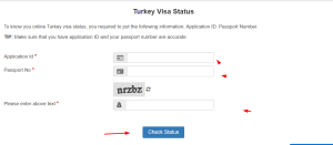 turkey visa check status