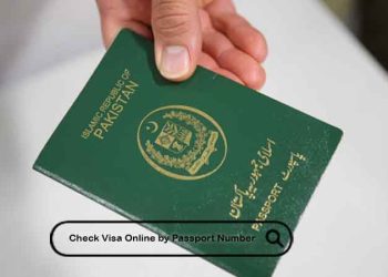 How to Check Visa Online by Passport Number Pakistan