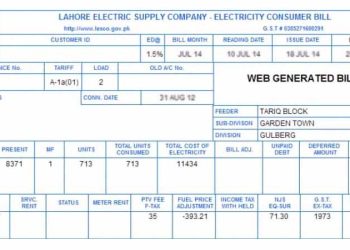 How to check Lesco Wapda's bill online- Check Lahore 2022