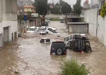 Flood Relief Fund Donation Code