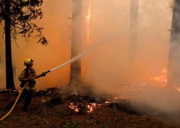 Wildfire of Californio starts spreading to central mountains