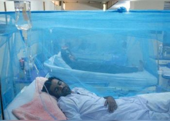 Dengue, malaria spreading at alarming rate in Sindh