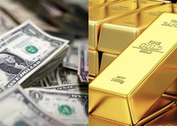 Dollar and Gold prices increase exponentially