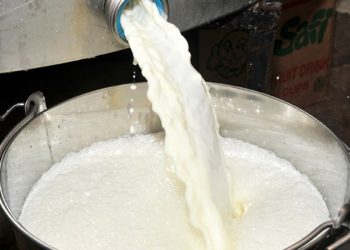 Karachi Dairy and Cattle Farmers Association increases milk prices by Rs20