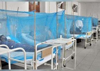 Dengue continues to rise in Karachi, 247 new cases reported in last 24 hours