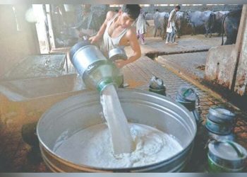 Commissioner Karachi fixes milk price at Rs170 per litre