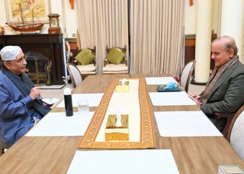 Shehbaz tasks Zardari with re-winning Punjab