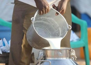 Milk mafia uncontrollable in Karachi; retailers selling milk at outrageous rates