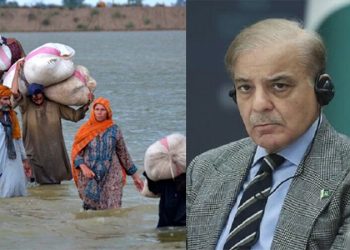 Prime Minister Shehbaz Sharif hopes to present case of flood victims to world at international conference