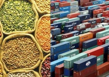 Shortage of dollars in Pakistan; 6,000 containers of pulses stranded at port