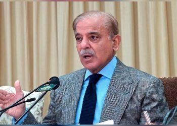 India and Pakistan should initiate constructive talks to resolve Kashmir issue, PM Shehbaz Sharif