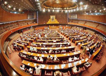 Govt approves 20bn discretionary funds for PDM lawmakers, Rs4bn additional funds for military amid financial crunch