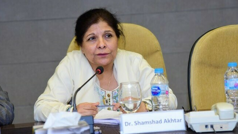 Shamshad Akhtar says no financial capacity for subsidies