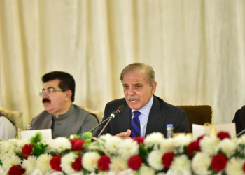 PM Shehbaz Sharif calls for revolutionary surgical strike
