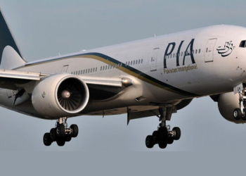 PIA privatisation plan & options