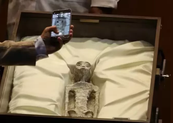 Jaime Maussan claims to retrieve 'non-human' alien corpses
