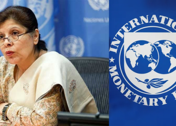 Government shelves the plan to issue international bond