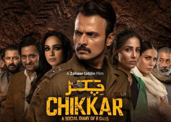 movie review of Chikkar