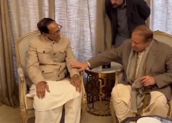 seat adjustment between PML-N and PML-Q