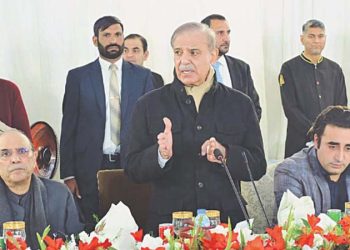 PM Shehbaz extends an olive branch to PTI for collaboration with Centre