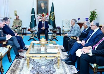 PM Shehbaz extends invitation to French companies for investment in Pakistan