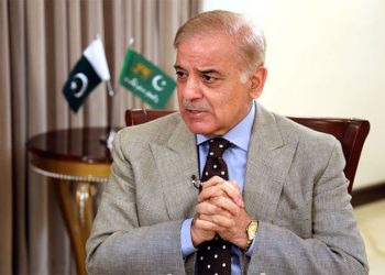 PM Shehbaz urges international community to exert pressure on Israel to halt oppression against Palestinians